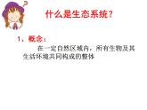 北师大版八下生物 23.2生态系统概述 课件