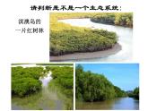 北师大版八下生物 23.2生态系统概述 课件