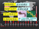 济南版七下生物 6.2传染病及其预防 课件