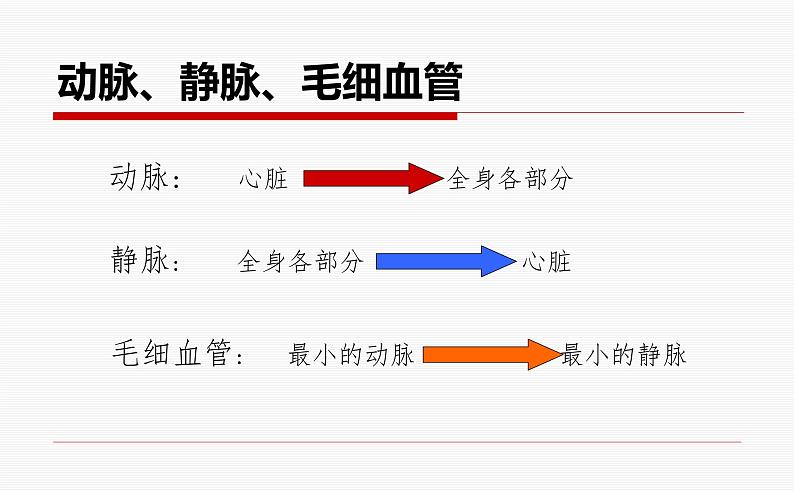 济南版七下生物 3.2物质运输的器官 课件第6页