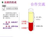 济南版七下生物 3.1物质运输的载体 课件