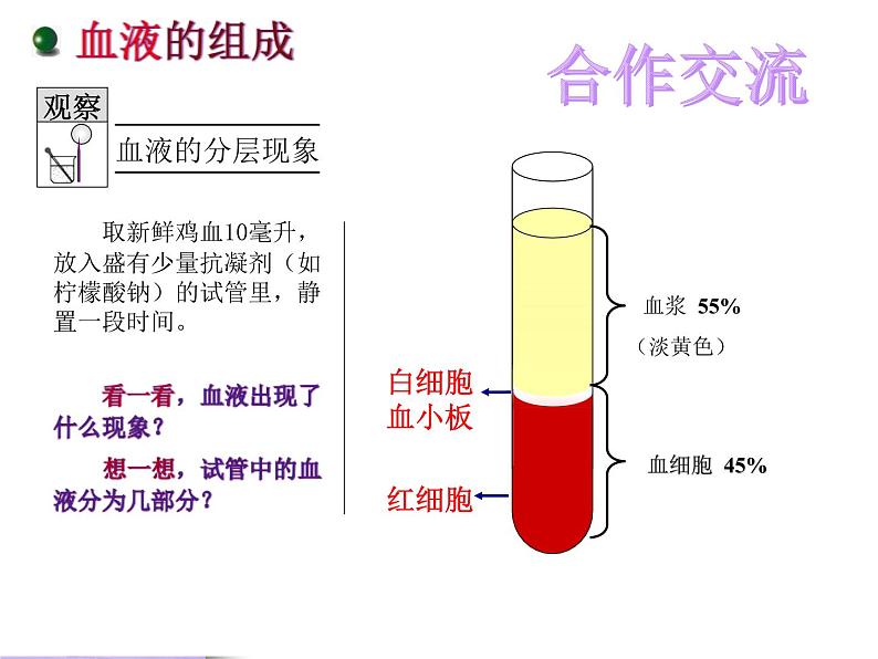 济南版七下生物 3.1物质运输的载体 课件第2页