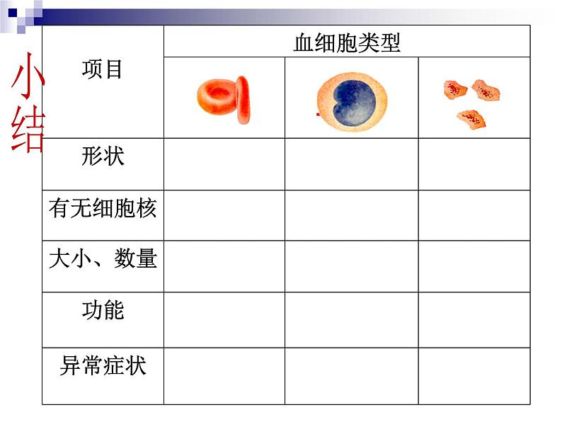 济南版七下生物 3.1物质运输的载体 课件第8页