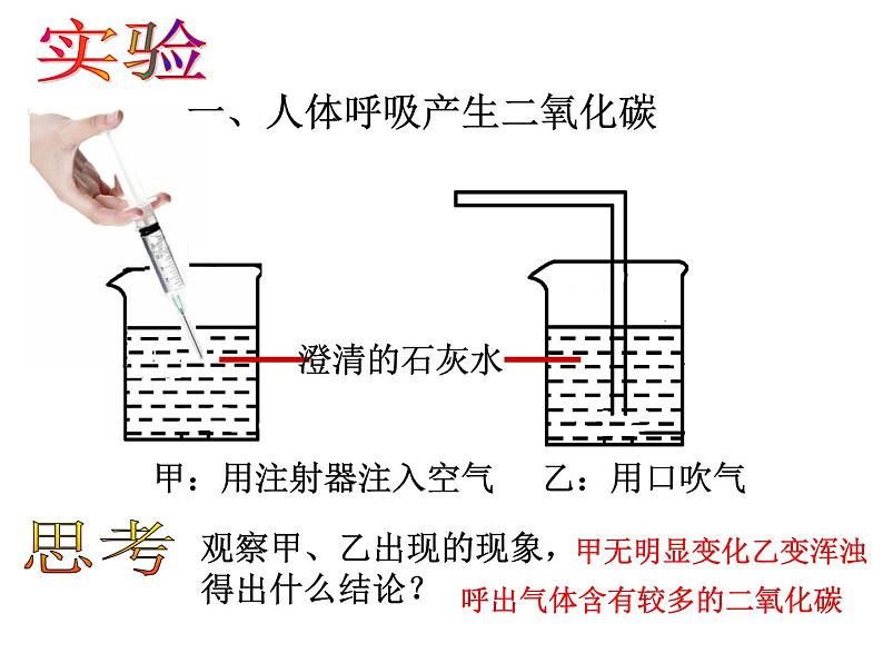 济南版七下生物 2.1人体与外界的气体交换 课件第3页