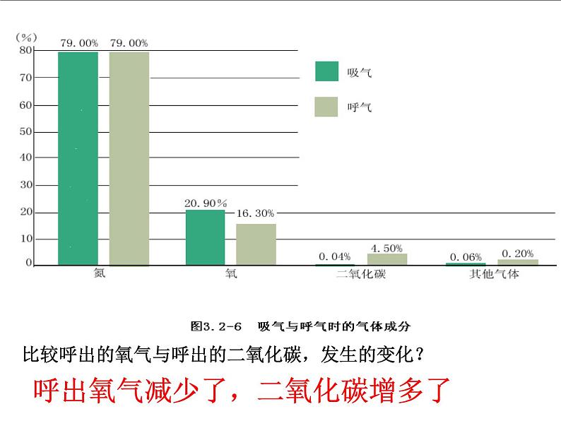 济南版七下生物 2.1人体与外界的气体交换 课件第4页