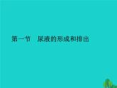 济南版七下生物 4.1尿液的形成和排出 课件