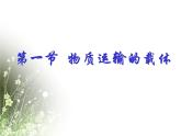 济南版七下生物 3.1物质运输的载体 课件