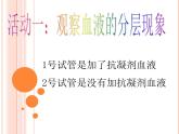 济南版七下生物 3.1物质运输的载体 课件