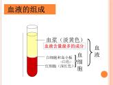 济南版七下生物 3.1物质运输的载体 课件