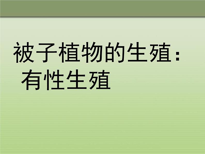 冀教版八下生物 6.1.1被子植物的生殖 课件第3页