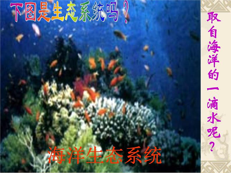 冀教版八下生物 7.2.1生态系统的组成和类型 课件08