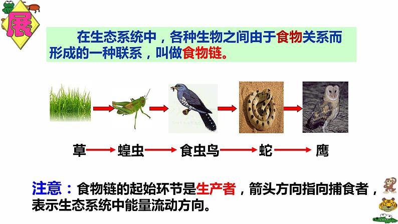 冀教版八下生物 7.2.2食物链和食物网 课件第5页