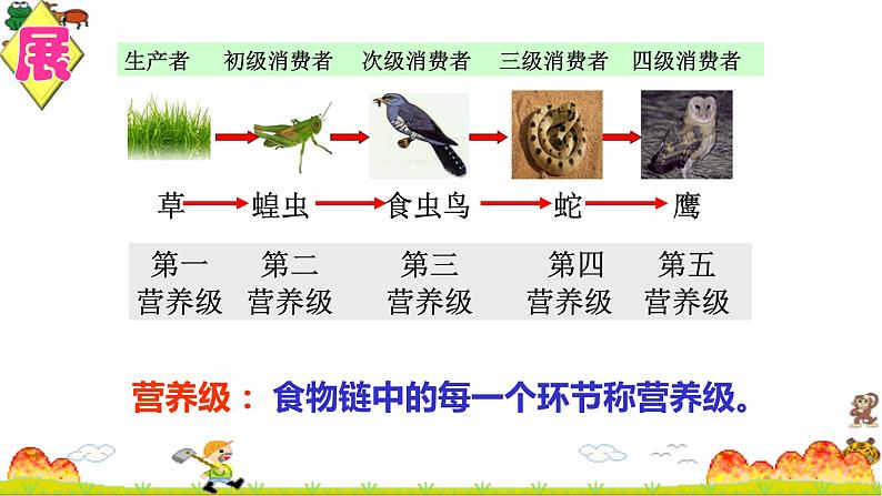 冀教版八下生物 7.2.2食物链和食物网 课件第6页