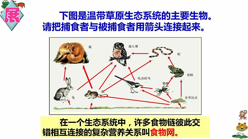 冀教版八下生物 7.2.2食物链和食物网 课件第7页