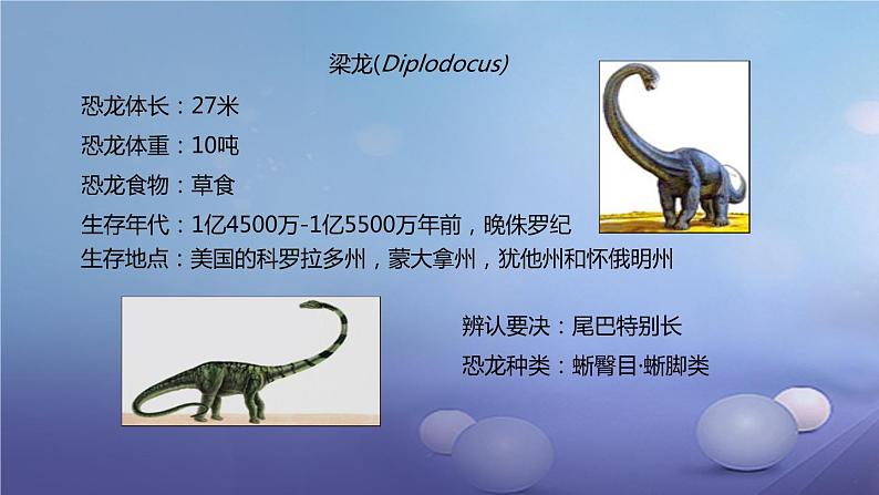 冀教版八下生物 6.3.2生物的进化 课件第4页
