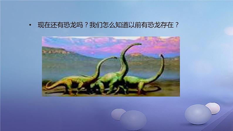 冀教版八下生物 6.3.2生物的进化 课件第5页