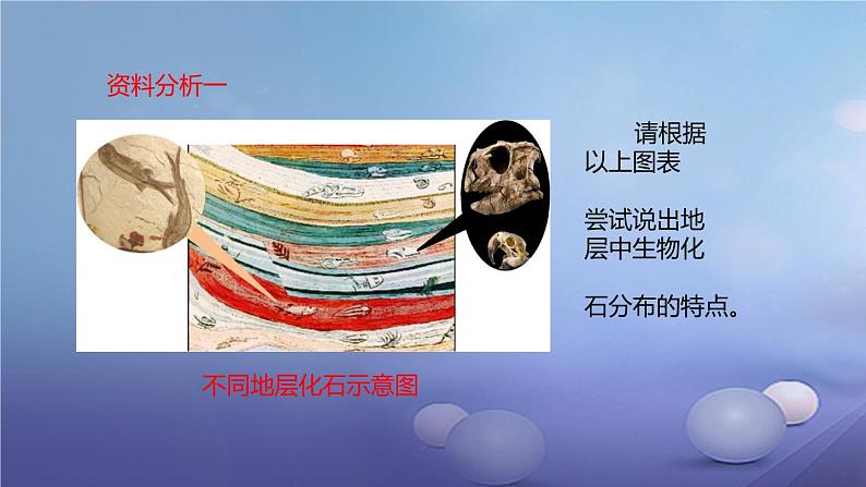冀教版八下生物 6.3.2生物的进化 课件第8页