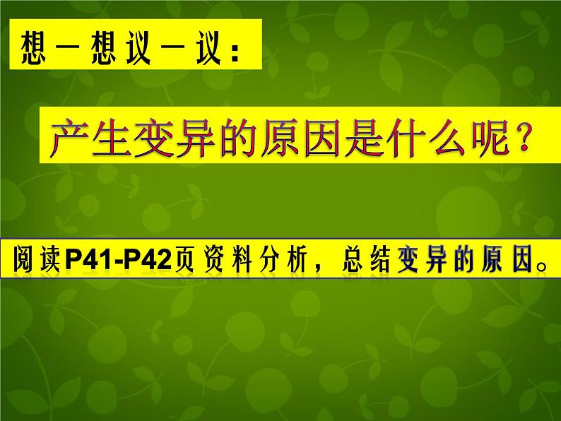 冀教版八下生物 6.2.2变异 课件第7页