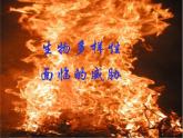 冀教版八下生物 7.3.3保护生物多样性 课件