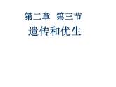 冀教版八下生物 6.2.3遗传病与优生 课件
