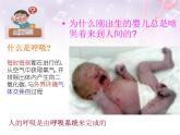 人教版七下生物 3.1呼吸道对空气的处理 课件