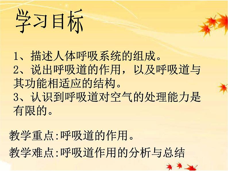 人教版七下生物 3.1呼吸道对空气的处理 课件03