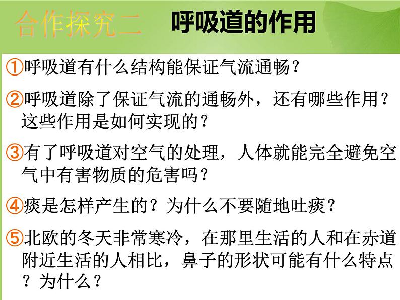 人教版七下生物 3.1呼吸道对空气的处理 课件07