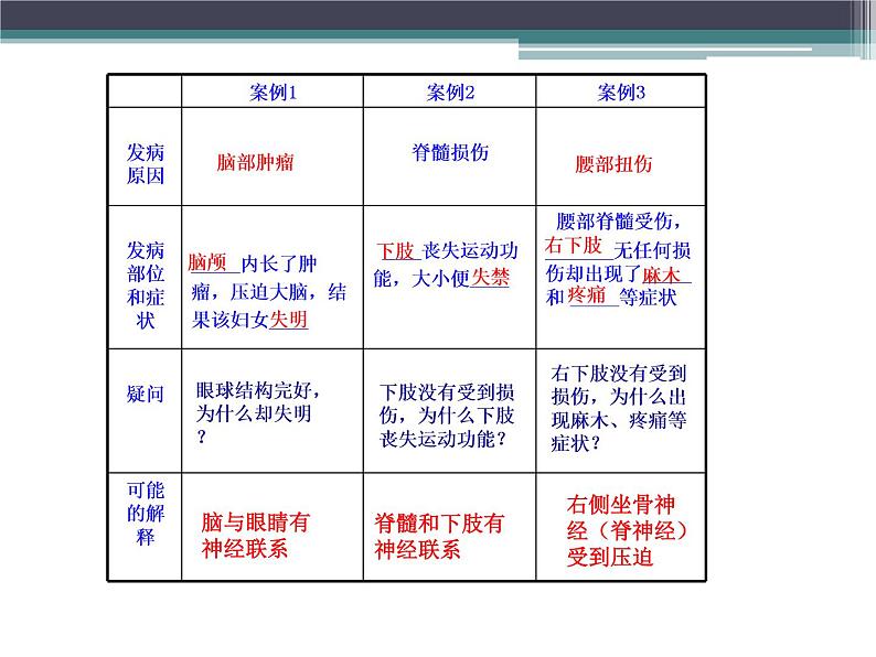 人教版七下生物 6.2神经系统的组成 课件第3页