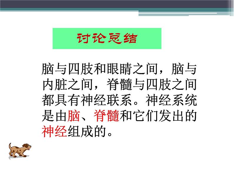 人教版七下生物 6.2神经系统的组成 课件第4页