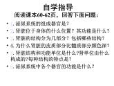 人教版七下生物 5人体内废物的排出 课件