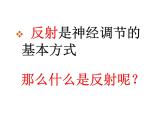 人教版七下生物 6.2神经系统的组成 课件