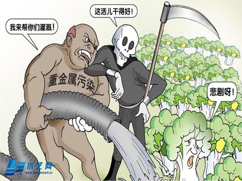 人教版七下生物 7.1分析人类活动对生态环境的影响 课件第5页