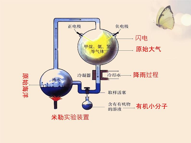 人教版八下生物 7.3.1地球上生命的起源 课件07