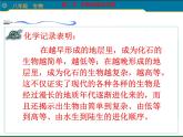 人教版八下生物 7.3.2生物进化的历程 课件