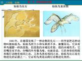 人教版八下生物 7.3.2生物进化的历程 课件