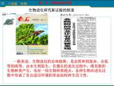 人教版八下生物 7.3.2生物进化的历程 课件