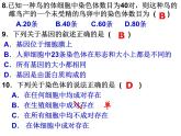 人教版八下生物 7.2.3基因的显性和隐性 课件