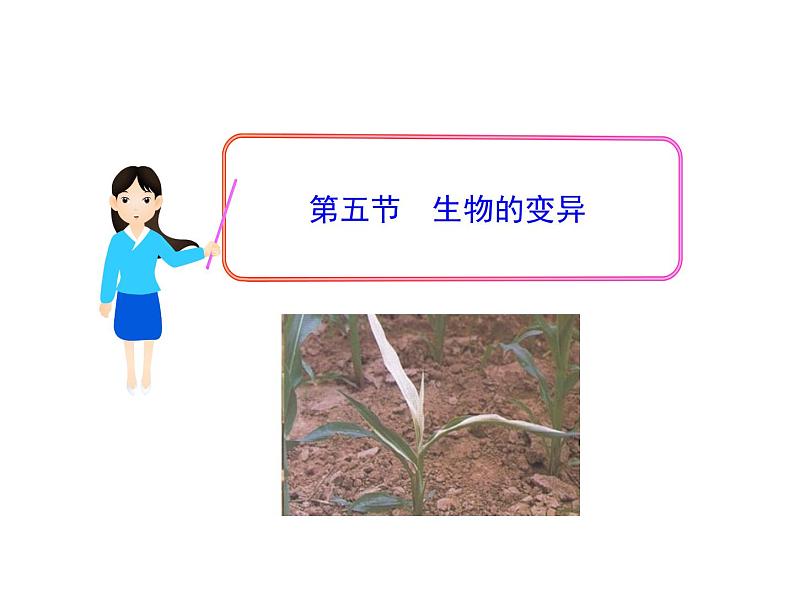 人教版八下生物 7.2.5生物的变异 课件01