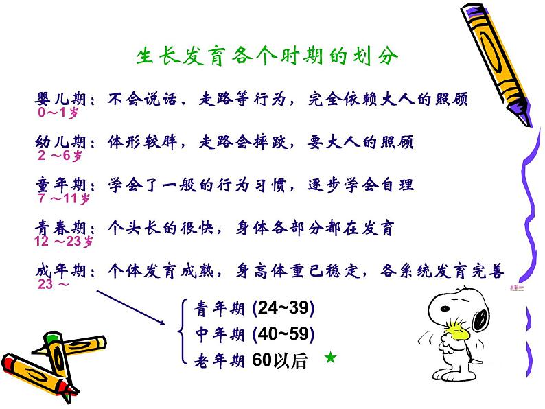 苏教版七下生物 8.2人的生长发育和青春期 课件04