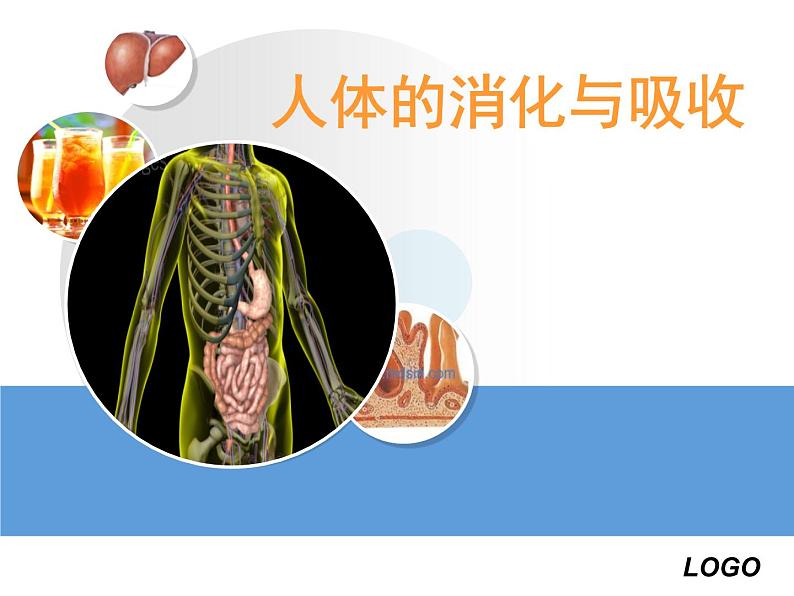 苏教版七下生物 9.2人体的消化与吸收 课件第1页