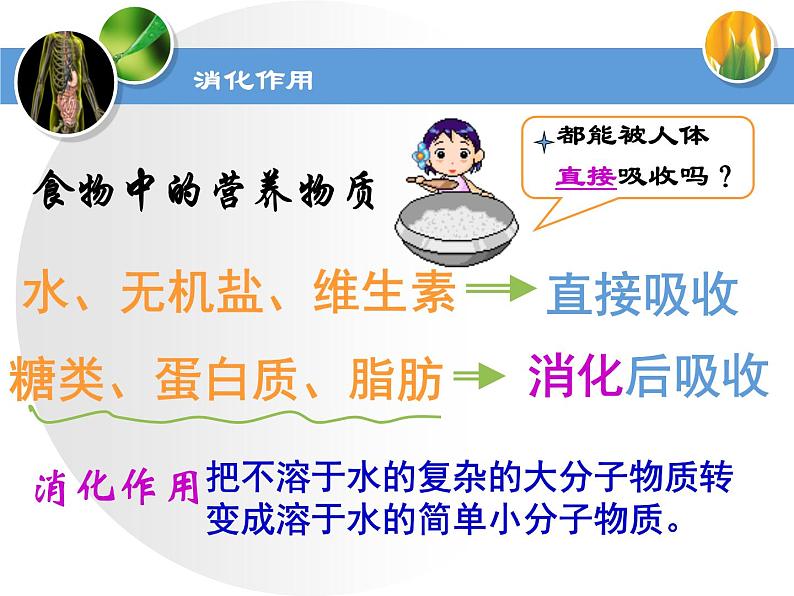 苏教版七下生物 9.2人体的消化与吸收 课件第2页