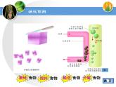 苏教版七下生物 9.2人体的消化与吸收 课件