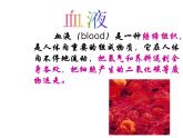 苏教版七下生物 10.1血液和血型 课件