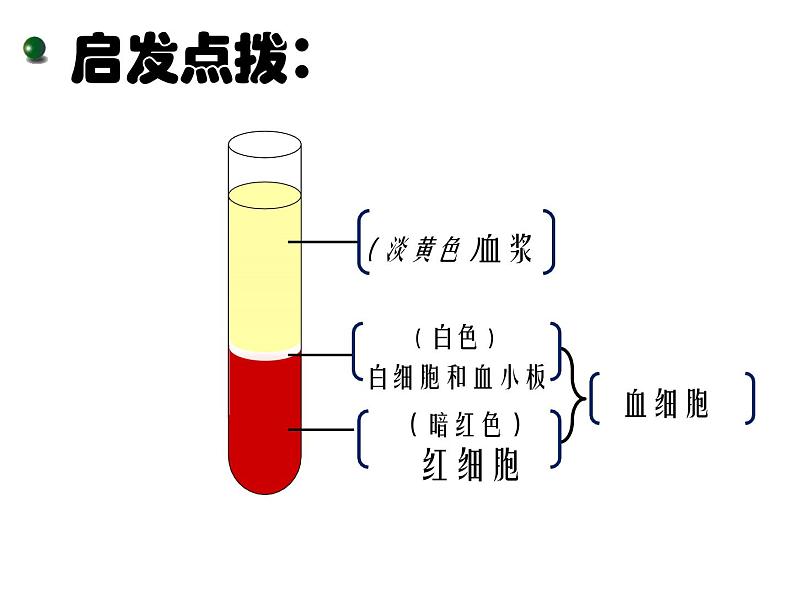 苏教版七下生物 10.1血液和血型 课件04