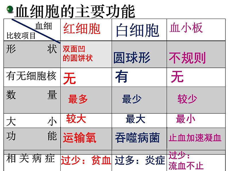 苏教版七下生物 10.1血液和血型 课件08