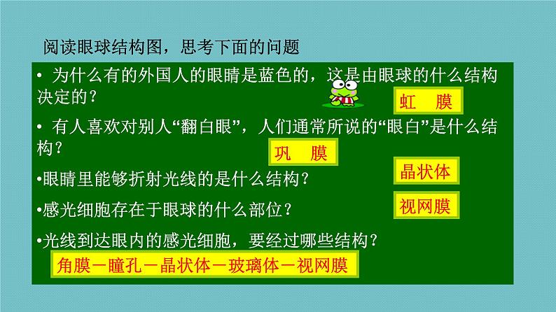 苏教版七下生物 12.3人体感知信息 课件第8页