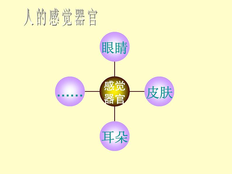 苏教版七下生物 12.3人体感知信息 课件02