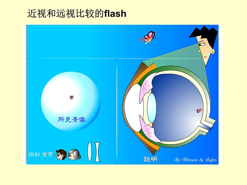 苏教版七下生物 12.3人体感知信息 课件08