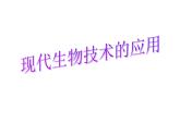 蘇教版八下生物 24.1現(xiàn)代生物技術(shù)的應(yīng)用 課件
