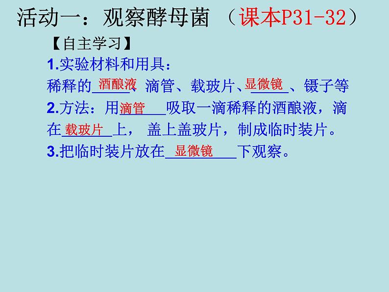 苏科版七下生物 9.3 单细胞的生物体 课件第3页